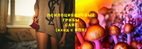 тгк Богородск