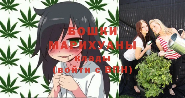крисы Богданович