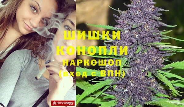 МДПВ Бронницы